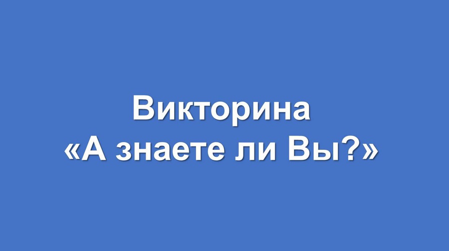 Итоги викторины картинка